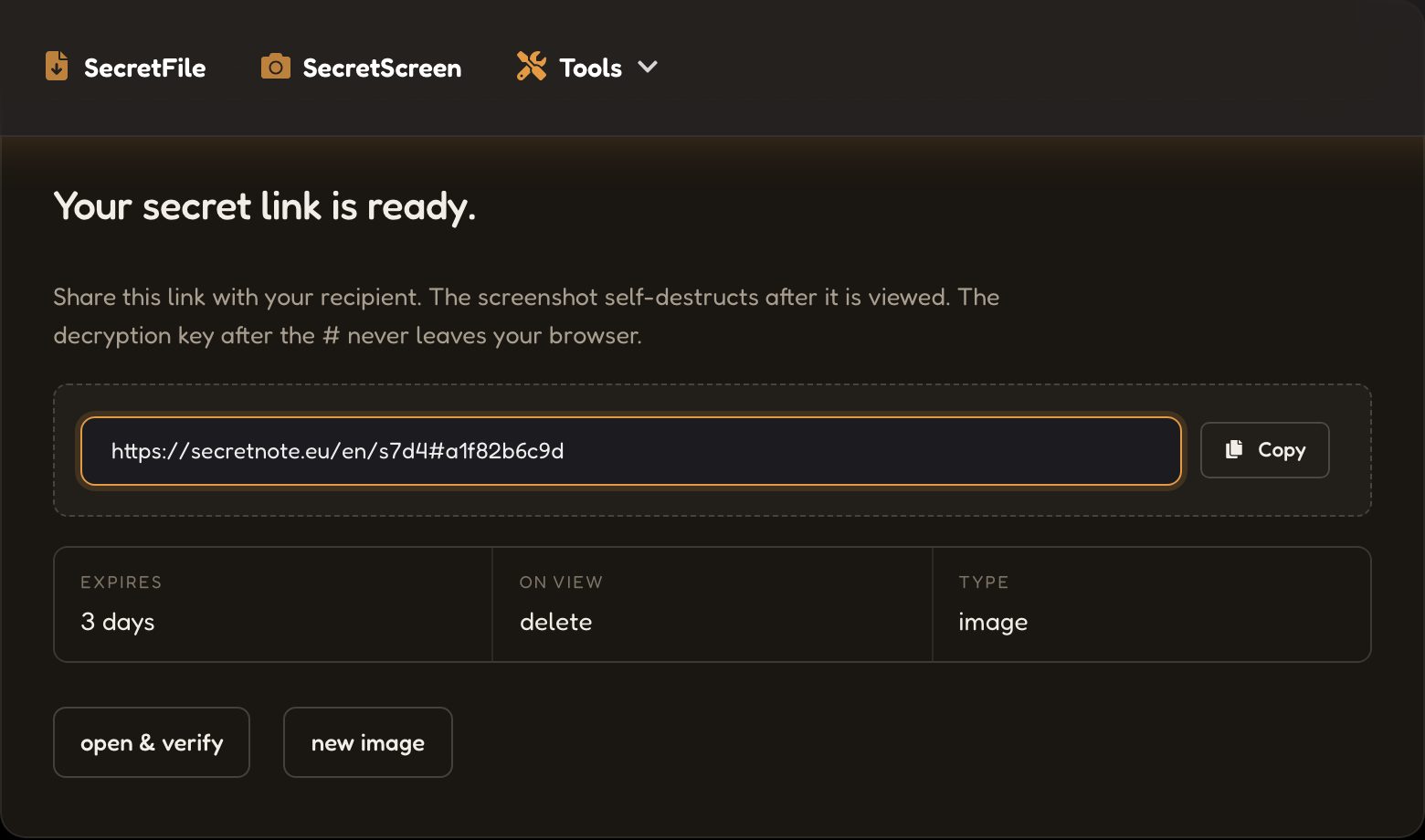 Screenshot: the one-time view link ready to share